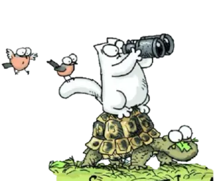 👀 Simon's Cat cat, cartoon, turtle, birds, binoculars whatsapp sticker