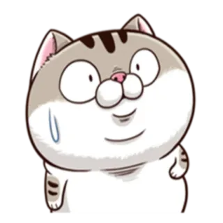 😨 cat, animal, cartoon, sticker, funny, expression telegram sticker