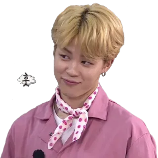 🙃 후 한국인, 사람, 금발 머리, 분홍 셔츠, 스카프, 밈 whatsapp sticker