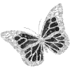 🦋