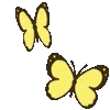 🦋