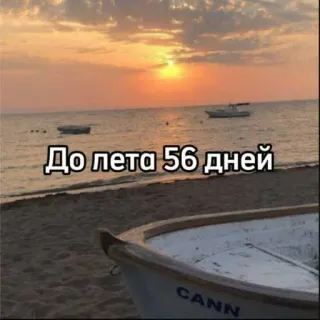 ☀️ До лета 56 дней verano, playa, puesta de sol, mar, días para el verano, vacaciones, viajes telegram sticker