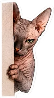 👀 telegram sticker