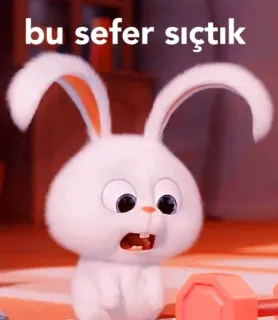 😰 bu sefer sıçtık 토끼, 동물, 만화, 밈, 표정 whatsapp sticker