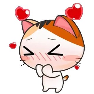 🥰 แมว, น่ารัก, สัตว์, ความรัก, หัวใจ, สติกเกอร์, การ์ตูน telegram sticker