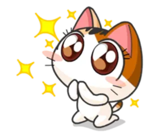 🙏 chat, suppliant, mignon, paillettes, animal, kawaii, implorant whatsapp sticker