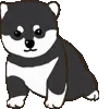 🐶
