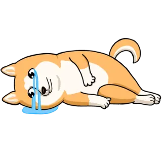 😿 perro, triste, llorando, meme, shiba inu, emoji, molesto whatsapp sticker