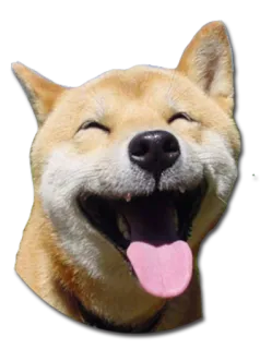 😊 dog, shiba inu, happy, animal, pet, cute telegram sticker