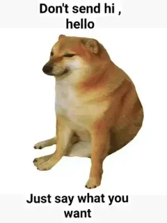 🤔 Cheems Doge meme Don't send hi , hello Just say what you want cheems, doge, shiba inu, meme, chat etiquette, direct communication, dog telegram sticker