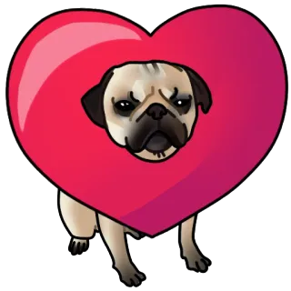 Собачки 🐾 (@stickerssave) telegram stickers