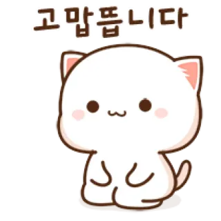 😒 고맙뜹니다 Katze, süß, danke, kawaii, Tier telegram sticker