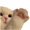 cats ➜ @emoji1 telegram emojis 🤩