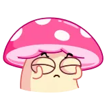 ๐คจ