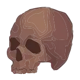 💀