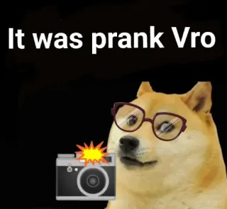 📸 Doge It was prank Vro telegram sticker