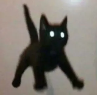 🐱 cat, black cat, animal, pet, kitten whatsapp sticker
