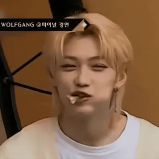 🐤 WOLFGANG @ 파이널 경연 kpop, felix, straykids, koreanisch telegram sticker