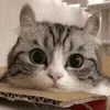 😳