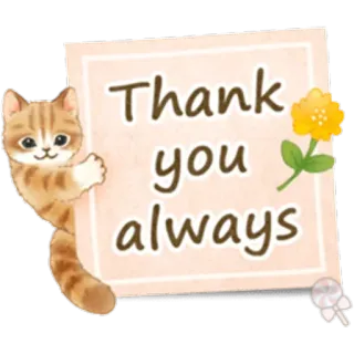 🐱 Thank you always gato, gracias, flor, saludo, lindo whatsapp sticker