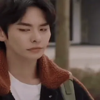 🇰🇷 whatsapp sticker