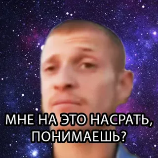 💩 МНЕ НА ЭТО HАСРАТЬ, ПОНИМАЕШЬ? meme, russo, expressão, rosto telegram sticker