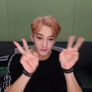 🧸 人物, 男人, 和平标志, kpop, 自拍, 肖像 telegram sticker