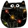 🐱