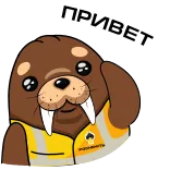 Животные Арктики telegram stickers