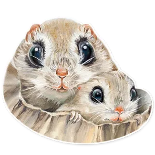 🐿 動物, リス, かわいい, げっ歯類, 野生動物, 自然 whatsapp sticker