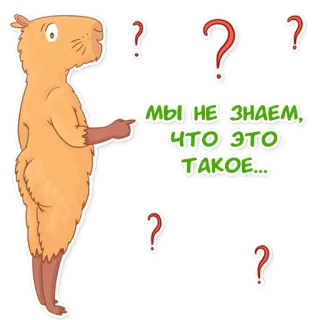 ❓ МЫ НЕ ЗНАЕМ, ЧТО ЭТО ТАКОЕ... kapibara, pertanyaan, bingung, binatang, pengerat telegram sticker