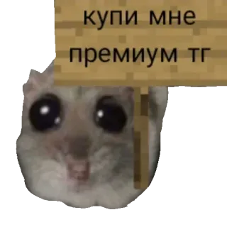 🙏 Minecraft купи мне премиум тг mouse, rodent, meme, minecraft sign, telegram premium, begging, cute animal telegram sticker