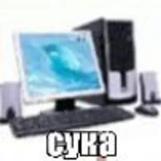 🌟 СУКА jurons, ordinateur, impoli, insulte telegram sticker