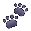 🐾