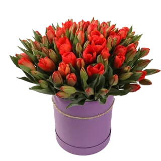 🌷 ทิวลิป, ดอกไม้, ช่อดอกไม้, ของขวัญ, การจัดดอกไม้, ดอกไม้สีแดง, กล่องสีม่วง whatsapp sticker