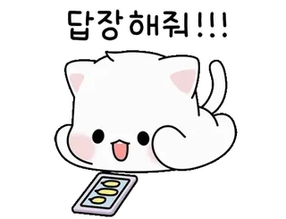 ❤️ 답장 해줘!!! mèo, dễ thương, kawaii, động vật, nhãn dán, hoạt hình, điện thoại, văn bản whatsapp sticker