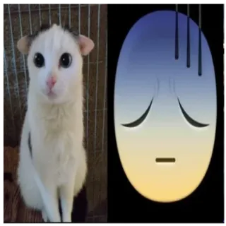 😓 猫, 伤心, 表情符号, 宠物, 动物, 沮丧 telegram sticker