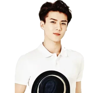 😊 man, polo shirt, hat, portrait whatsapp sticker