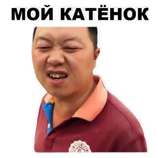 😽 МОЙ КАТЁНОК azjatycki, mężczyzna, wyraz, kot, kotek telegram sticker