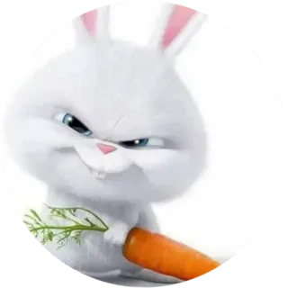 😠 Snowball The Secret Life of Pets coniglio, carota, cartone animato, animale, carino whatsapp sticker