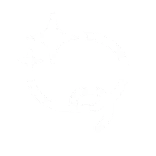 ✨️