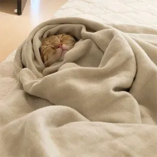🙇‍♂️ chat, dormir, couverture, mignon, confortable telegram sticker