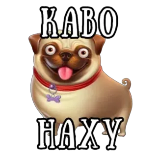 🫥 КАВО 
НАХУ cachorro, animal de estimação, pug, animal, desenho animado telegram sticker