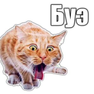 🤮 БУЭ cat, funny, meme, animal, sticker, russian telegram sticker