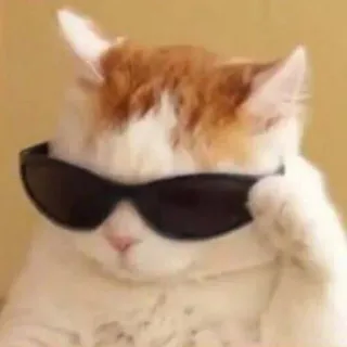 Забавные животные 2 (@safthome) whatsapp stickers
