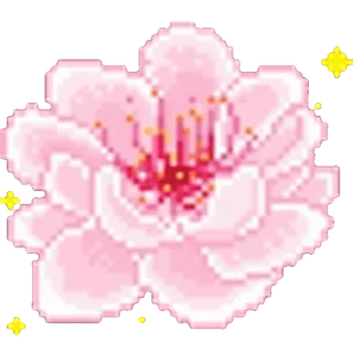 🌸
