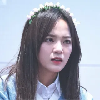 😠 femme, couronne de fleurs, portrait, asiatique, jeune, cheveux telegram sticker