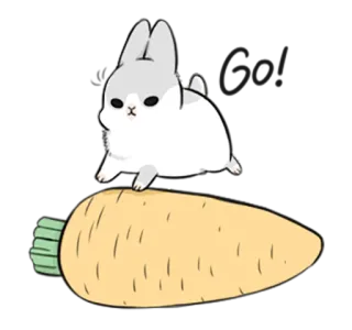 😊 conejo, zanahoria, lindo, animal, mascota, comida telegram sticker