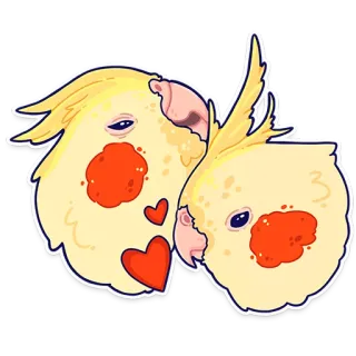 ❤️ nimfy, ptaki, zwierzęta domowe, miłość, zwierzęta telegram sticker