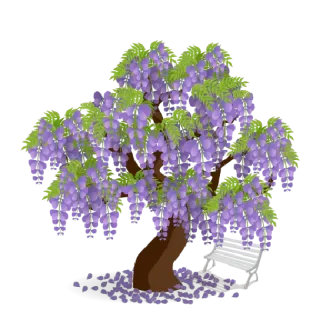 🌿 wisteria, tree, plant, nature, flowers, purple, foliage telegram sticker